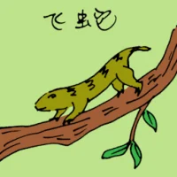 Tree Skink (0811) illustration