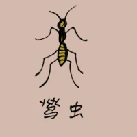 Yellow Ant (0813) illustration