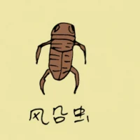 Four Legged Insect (0815) illustration