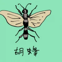 Hornet (0816) illustration