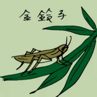 Golden Cricket (0818) illustration