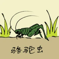 Snakefly (0819) illustration