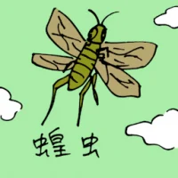 Locust (0820) illustration