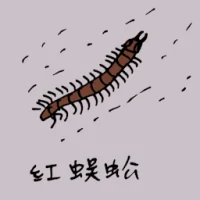 Red Centipede (0822) illustration