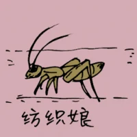 Bush Criket (0823) illustration