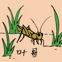 Yellow Cricket (0824) illustration