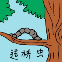 Tree Caterpillar (0829) illustration