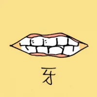 Teeth (0834) illustration