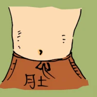 肚 (0835) illustration