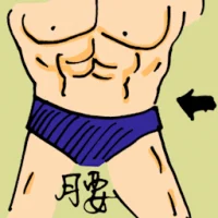 Waist (0836) illustration