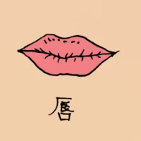 Lips (0837) illustration