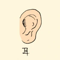 Ear (0842) illustration