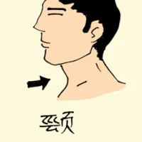 Neck (0844) illustration