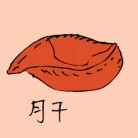 Liver (0849) illustration
