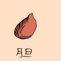 Gall Bladder (0857) illustration