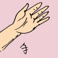 Hand (0869) illustration