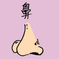 Nose (0870) illustration