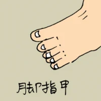 Toe Nail (0872) illustration
