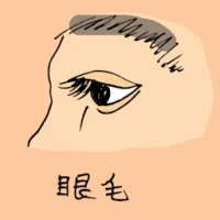 Eyelashes (0873) illustration