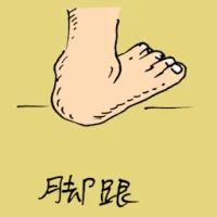 Heel (0874) illustration