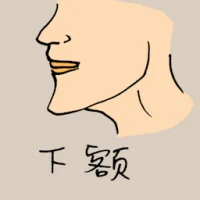 Chin (0877) illustration