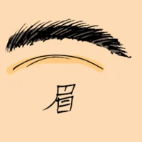 Eyebrow (0879) illustration