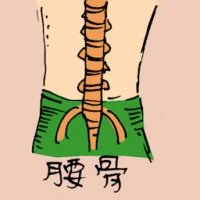 Backbone (0882) illustration