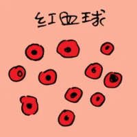 Red Blood Cells (0886) illustration