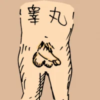 Testis (0888) illustration