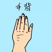 手背 (0891) illustration
