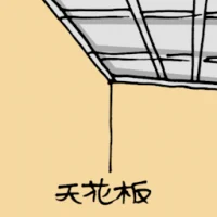 Plaster Ceiling (1105) illustration