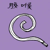 胶喉 (1305) illustration