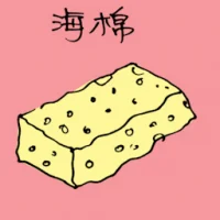 海棉 (1312) illustration