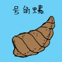 Spiral Shell (1459) illustration