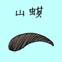 Leech (1526) illustration