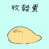 Soft Shell Egg (1567) illustration