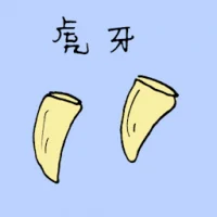 虎牙 (1576) illustration