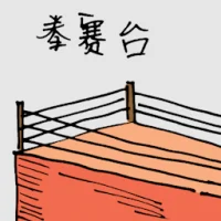 Boxing Stage (1588) illustration