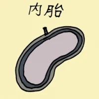 Tyre Tube (1663) illustration