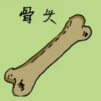 骨头 (1739) illustration