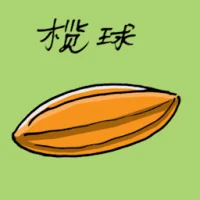 橄球 (1819) illustration
