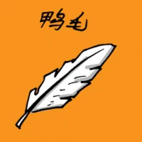 Duck Feathers (1875) illustration