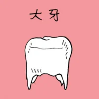 Molar Teeth (1981) illustration