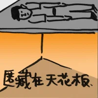 Hide In Ceiling (2013) illustration