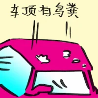 Guano On Car Roof (2225) illustration