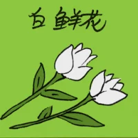 White Color Flower (2643) illustration