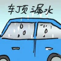 Car Roof Leaks (2749) illustration