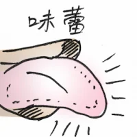Taste Bud (2876) illustration