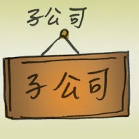 Subsidiary (2917) illustration