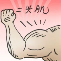 Biceps (2926) illustration